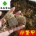 正品生鳖甲干净甲鱼壳选货另有炒鳖甲供应各种中药