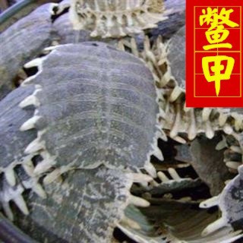 正品生鳖甲干净甲鱼壳选货另有炒鳖甲供应各种中药