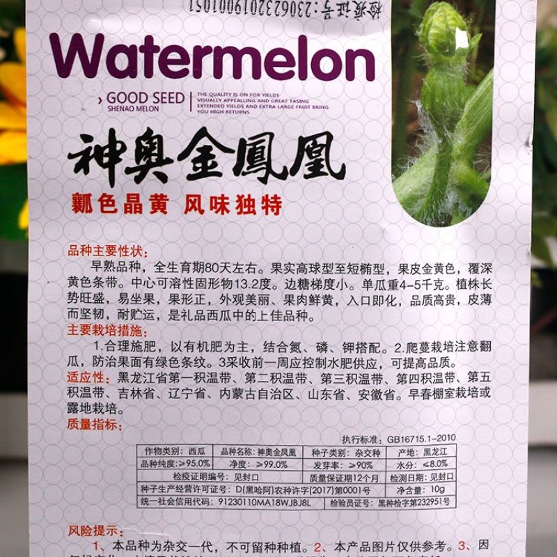 黄皮黄瓤西瓜种子高端礼品瓜早熟超甜神奥金凤凰皮薄水果金黄