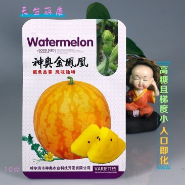黄皮黄瓤西瓜种子高端礼品瓜早熟超甜神奥金凤凰皮薄水果金黄