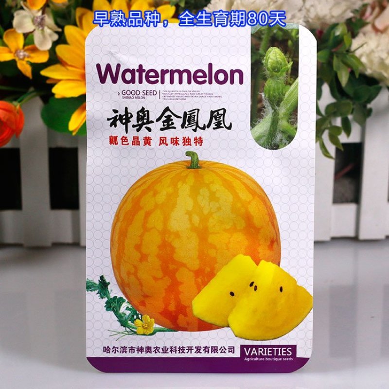 黄皮黄瓤西瓜种子高端礼品瓜早熟超甜神奥金凤凰皮薄水果金黄