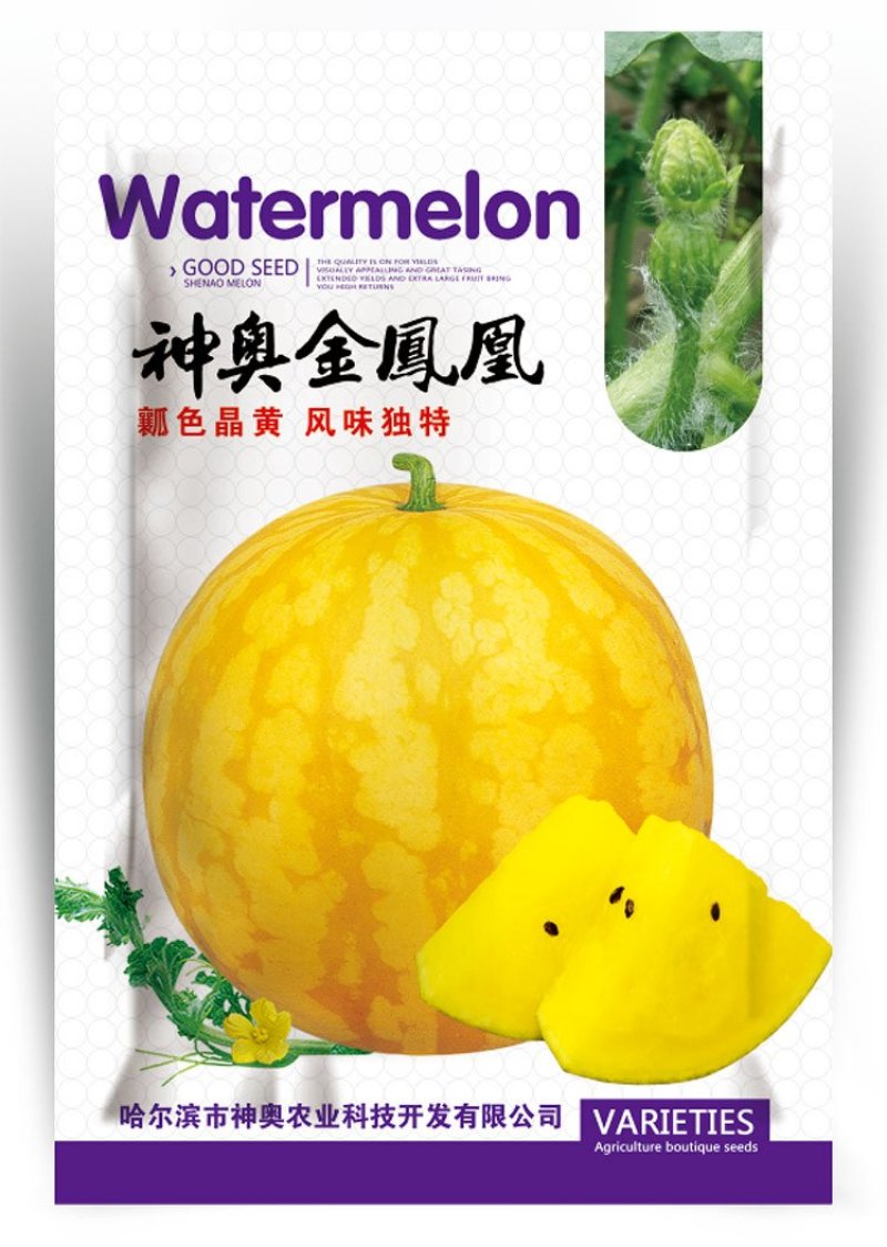 黄皮黄瓤西瓜种子高端礼品瓜早熟超甜神奥金凤凰皮薄水果金黄