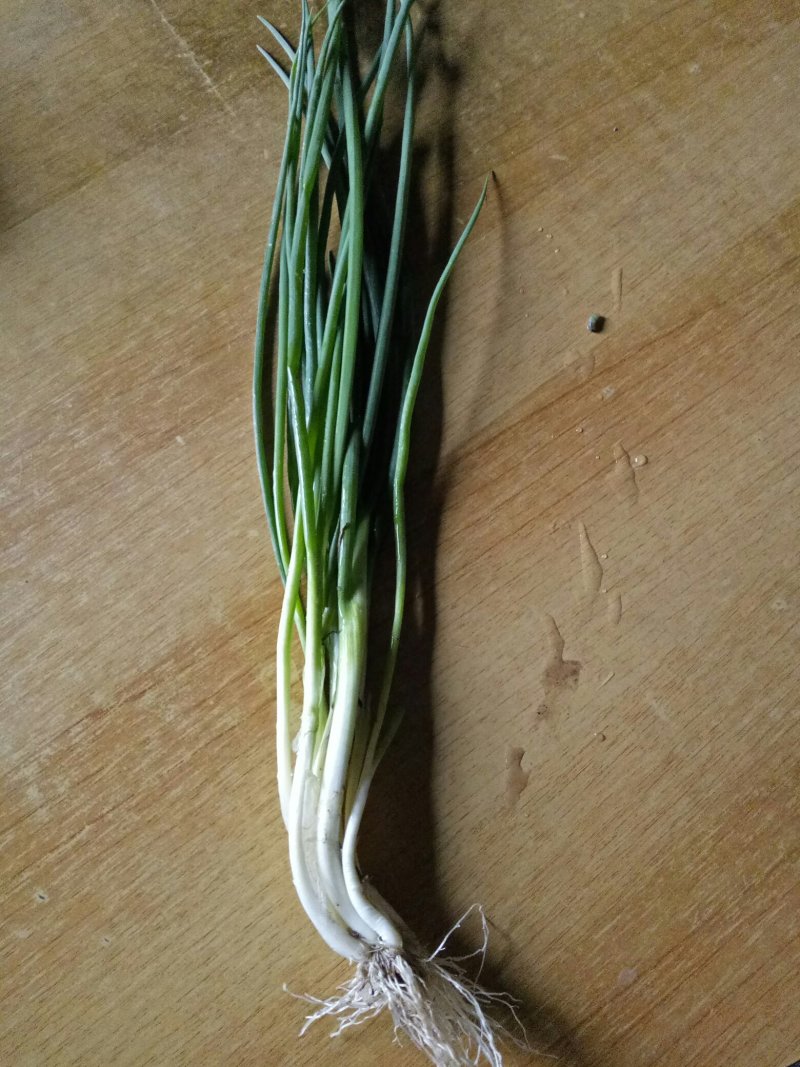 小香葱