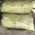 缅甸木炭