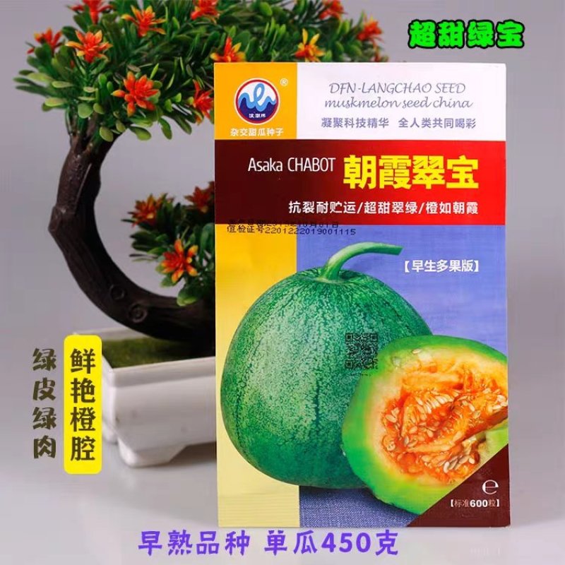 绿皮绿肉甜宝种子冰翡翠朝霞脆宝绿瓤橙心厚皮香瓜种子高产甜