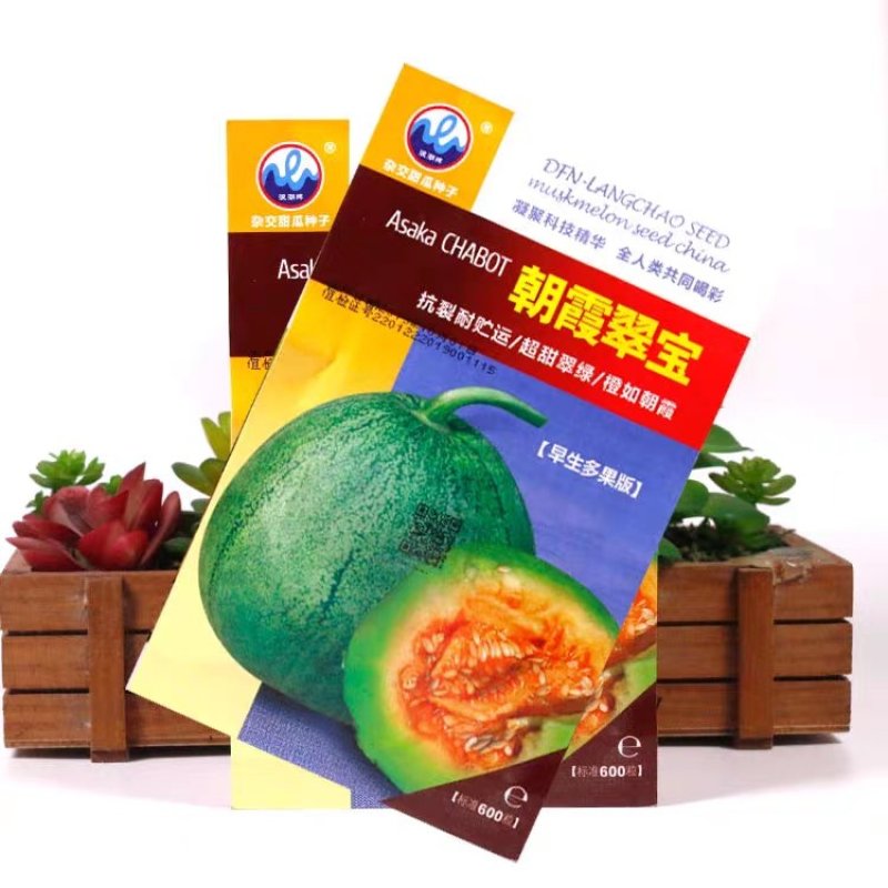 绿皮绿肉甜宝种子冰翡翠朝霞脆宝绿瓤橙心厚皮香瓜种子高产甜