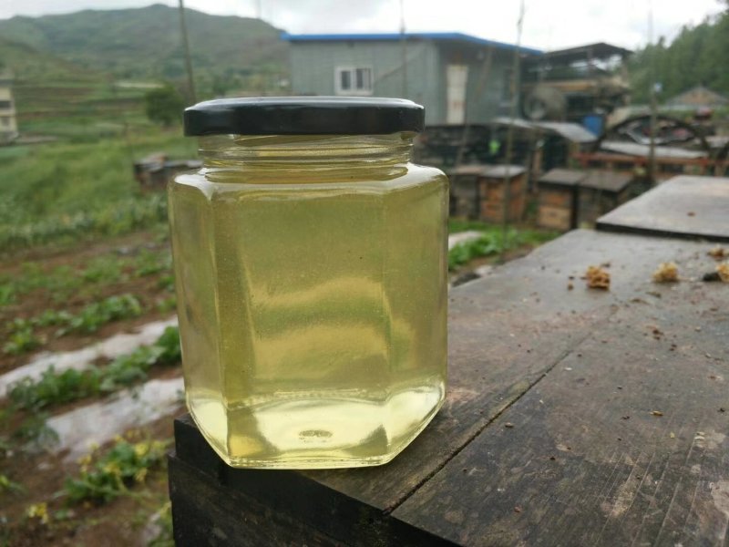 洋槐蜂蜜
