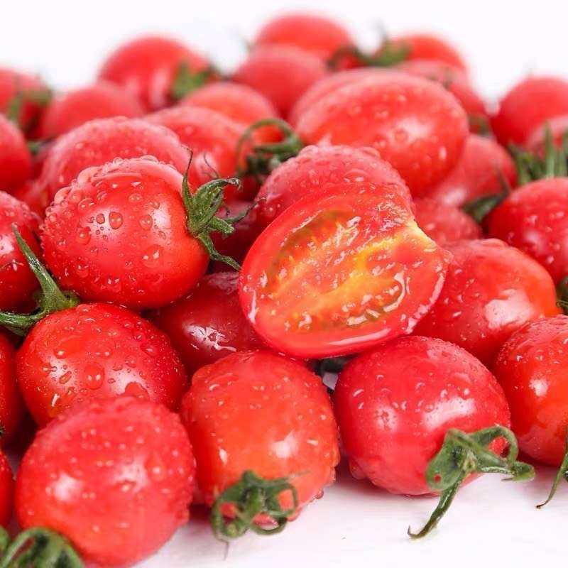 圣女果，，，，。。。，。。，，，，，，，，，，