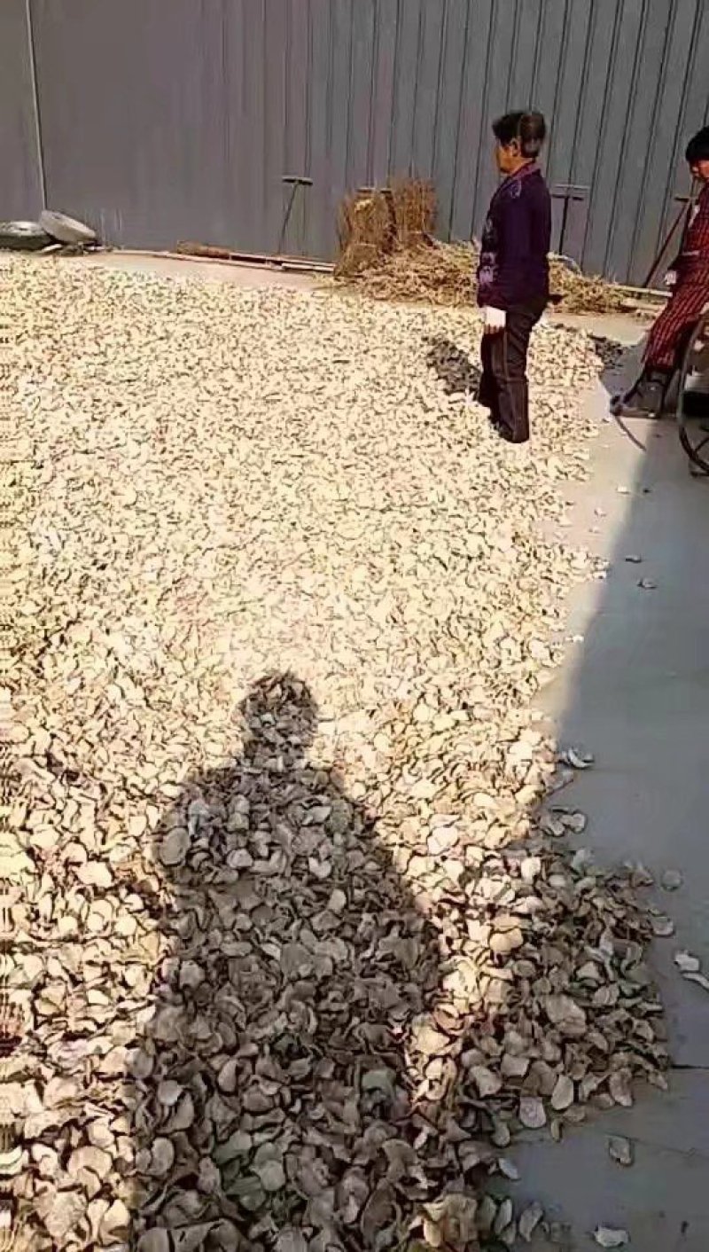 出售自家产萝卜干