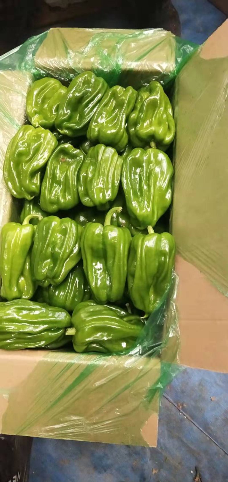 精品麻辣椒
