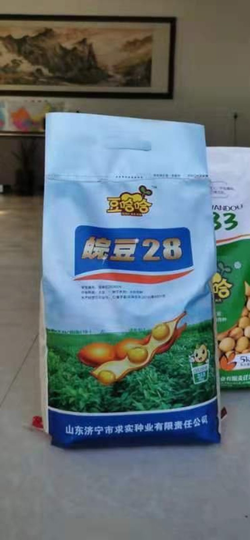 黄豆种子