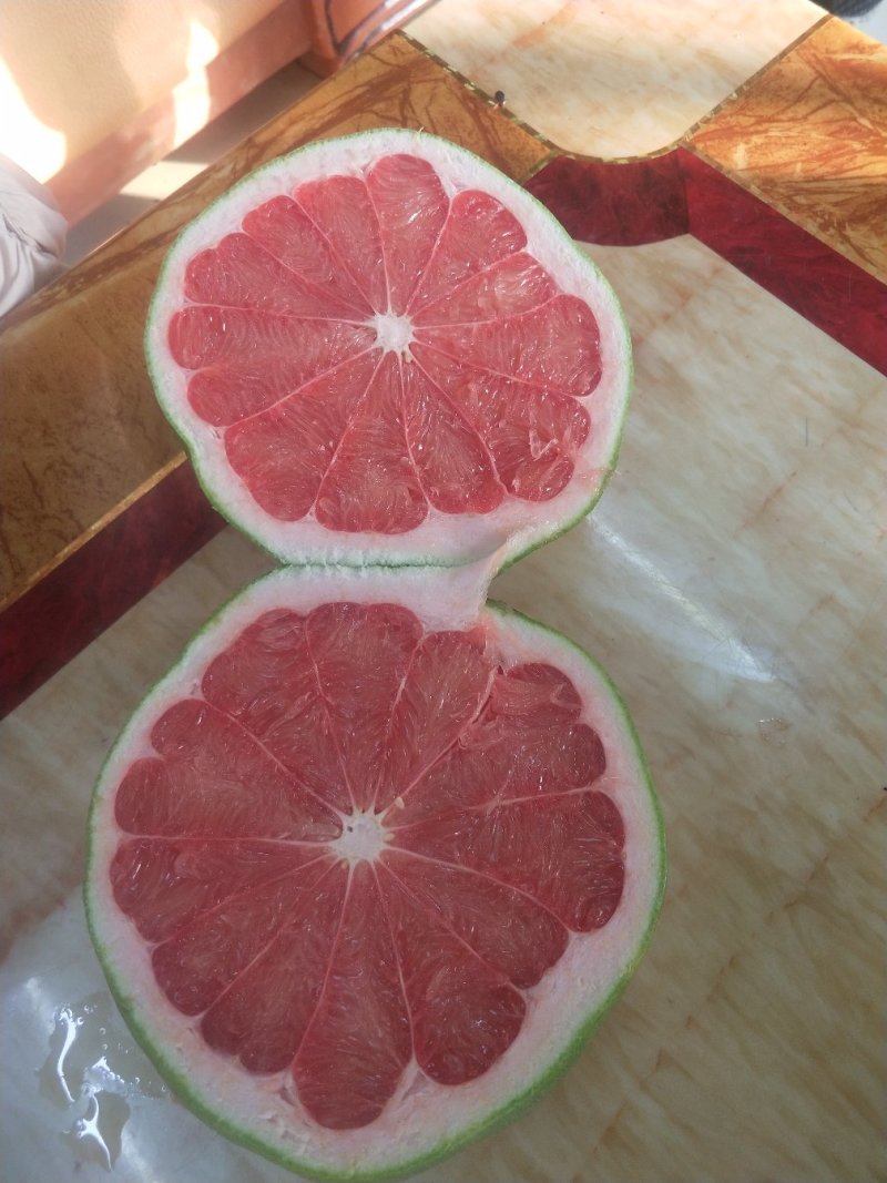 泰国红宝石柚子苗