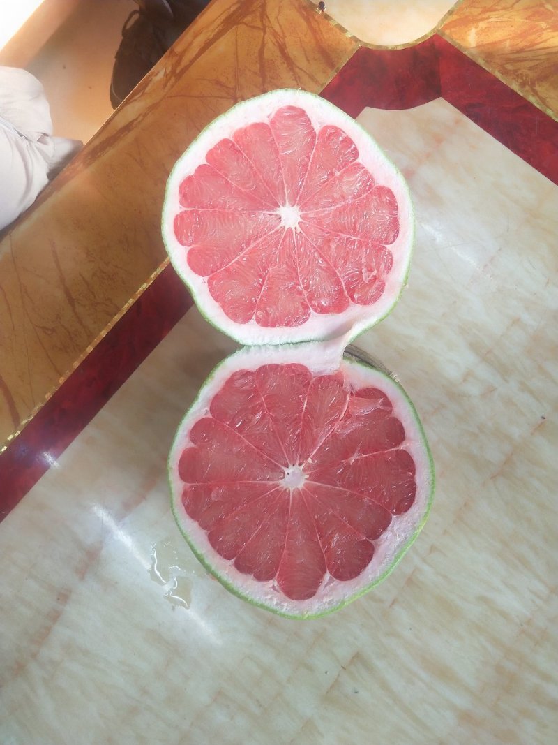 泰国红宝石柚子苗