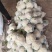 菜花支持找车，专业代办，精诚合作，保质保量，