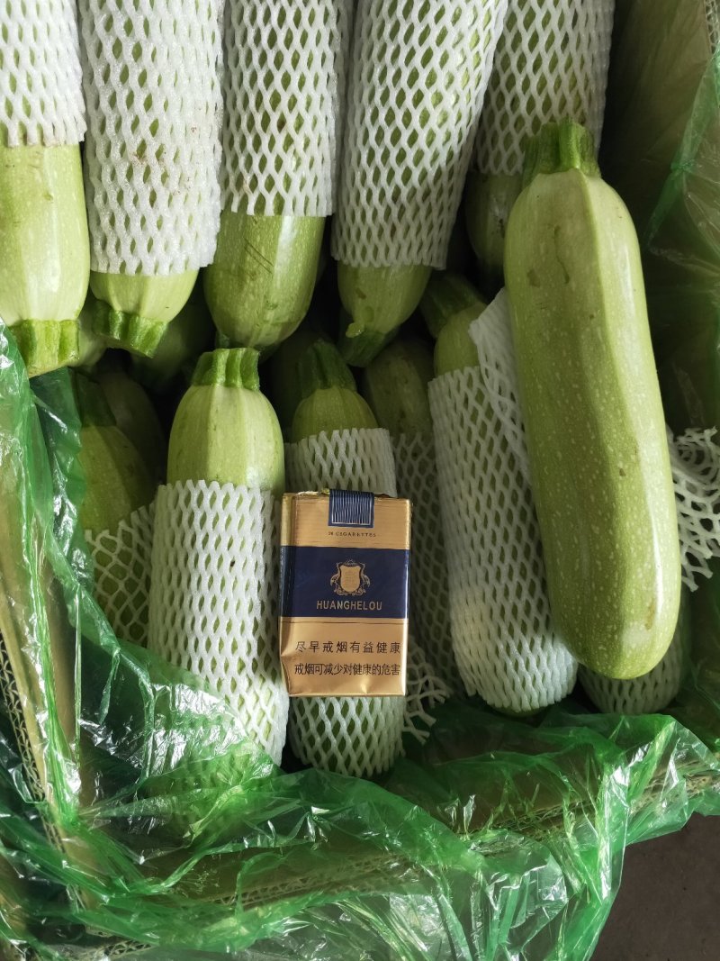 西葫芦0.4斤以上，精品西葫芦，品类齐全，