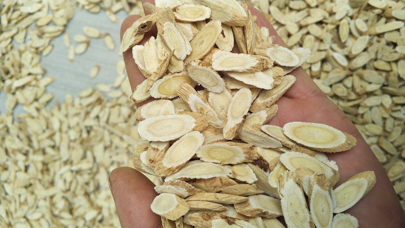 黄芩外用治疗皮肤病的药理机制示意图,展示其抗炎、抗菌和抗氧化作用 黄芩外用治疗皮肤病的药理机制示意图