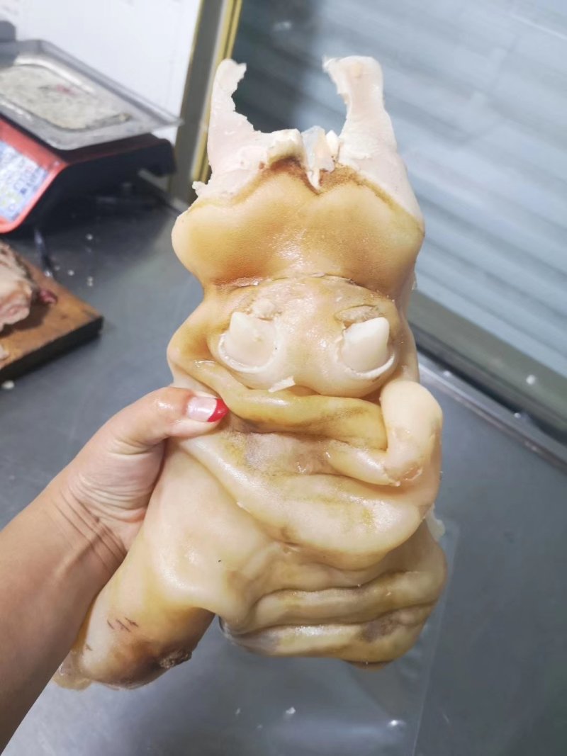 火烧牛蹄高质量胶原蛋白凉拌爆炒红烧口感鲜嫩