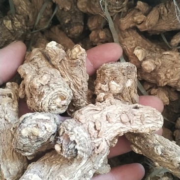 【可开发票】当归头当归干货优质无硫当归头左右一斤