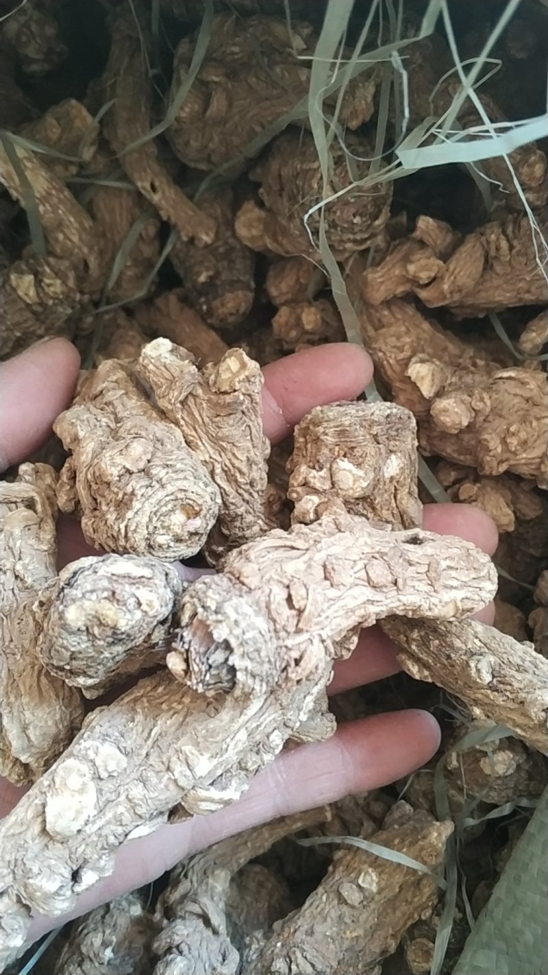 【可开发票】当归头当归干货优质无硫当归头左右一斤