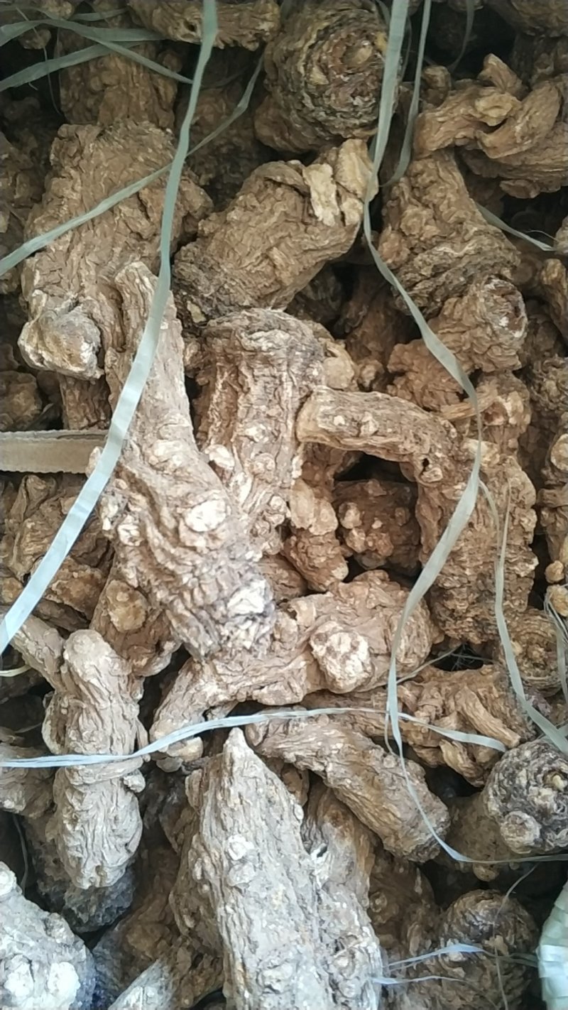 【可开发票】当归头当归干货优质无硫当归头左右一斤