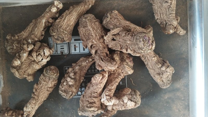 【可开发票】当归头当归干货优质无硫当归头左右一斤