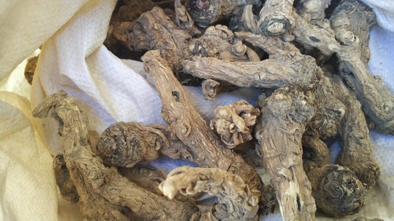 【可开发票】当归头当归干货优质无硫当归头左右一斤