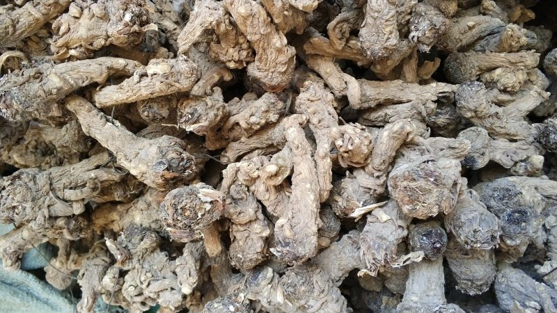 【可开发票】当归头当归干货优质无硫当归头左右一斤