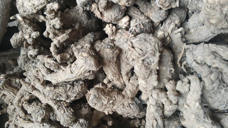 【可开发票】当归头当归干货优质无硫当归头左右一斤