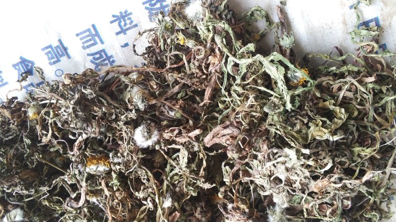 纯野生蒲公英干货整颗野生手选精品长根精选货源