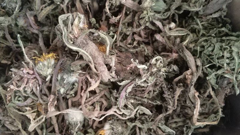 纯野生蒲公英干货整颗野生手选精品长根精选货源