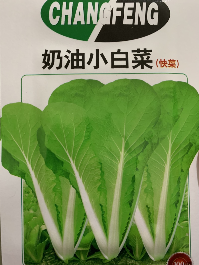 快菜种子四季速生小白菜籽农家菜园蔬菜种子阳台种菜盆栽青菜