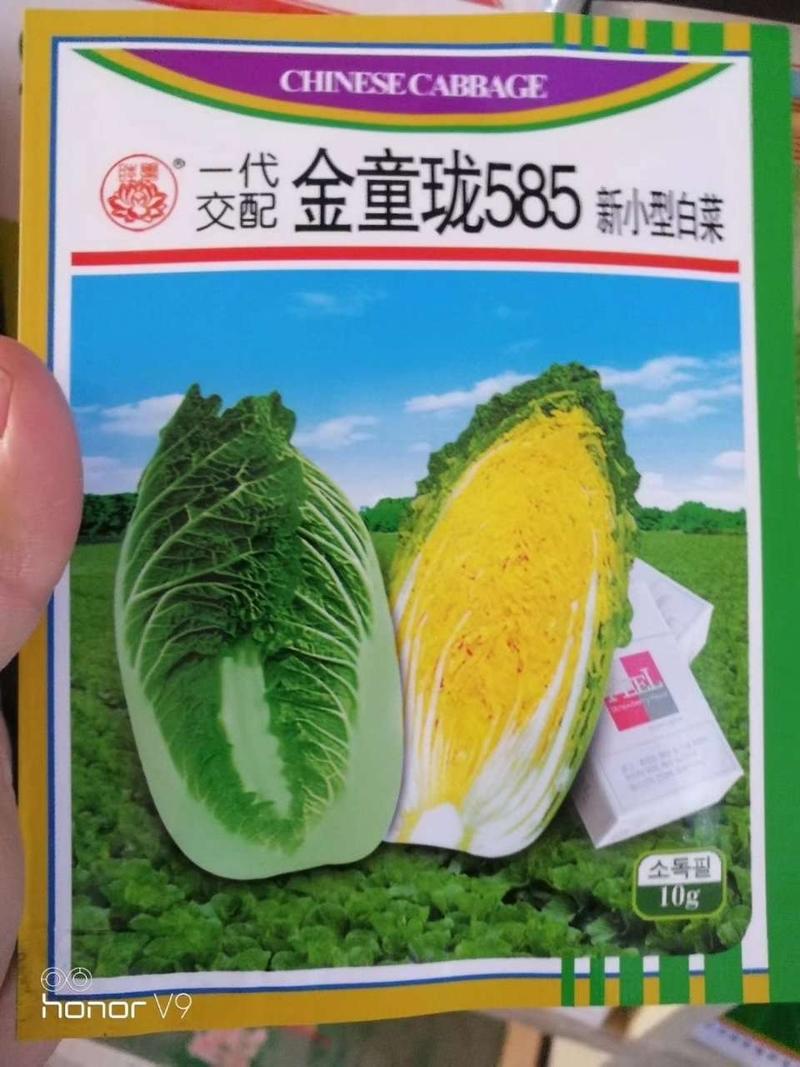 【】早春娃娃菜种子黄心小白菜种子黄心菜种子10克