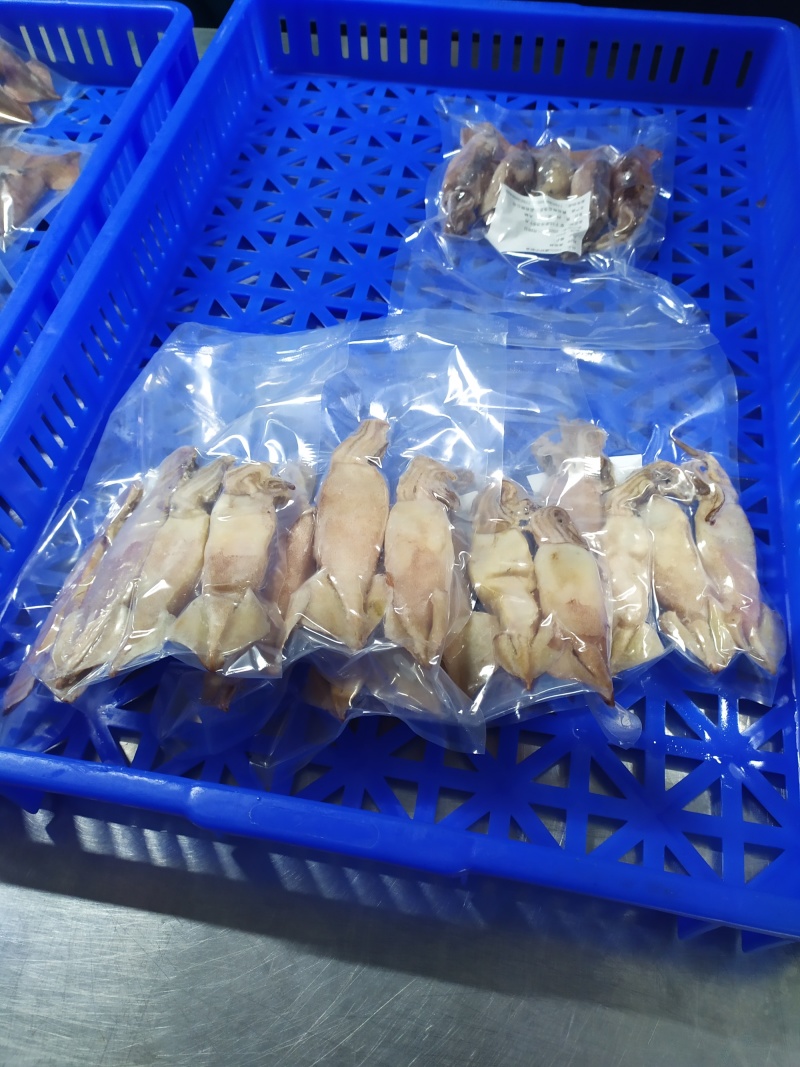 真空小包装满籽鱿鱼