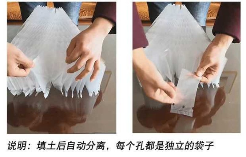 PE连体蜂窝育苗袋快速装土蜂窝状育苗容器育苗袋