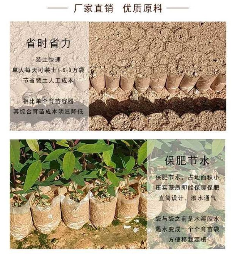 PE连体蜂窝育苗袋快速装土蜂窝状育苗容器育苗袋