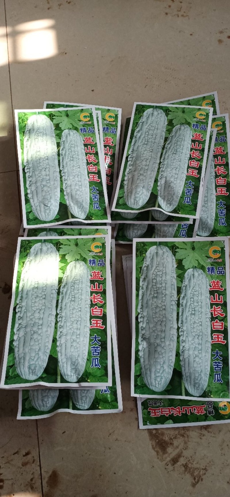 长白山苦瓜苗(基地直供)穴盘苗存活力高抗病力强