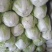 大白菜信阳小包。白菜质量不错。