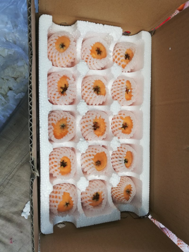 枇杷