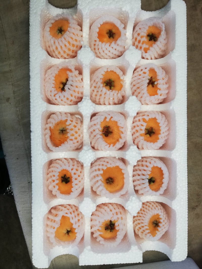 枇杷