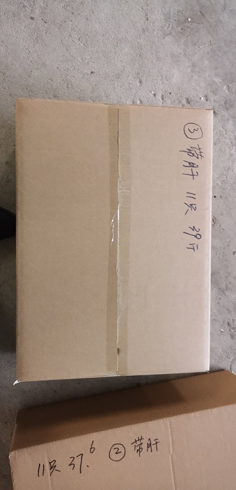 大量供应盐城大丰自产各种规格冷鲜带皮兔肉