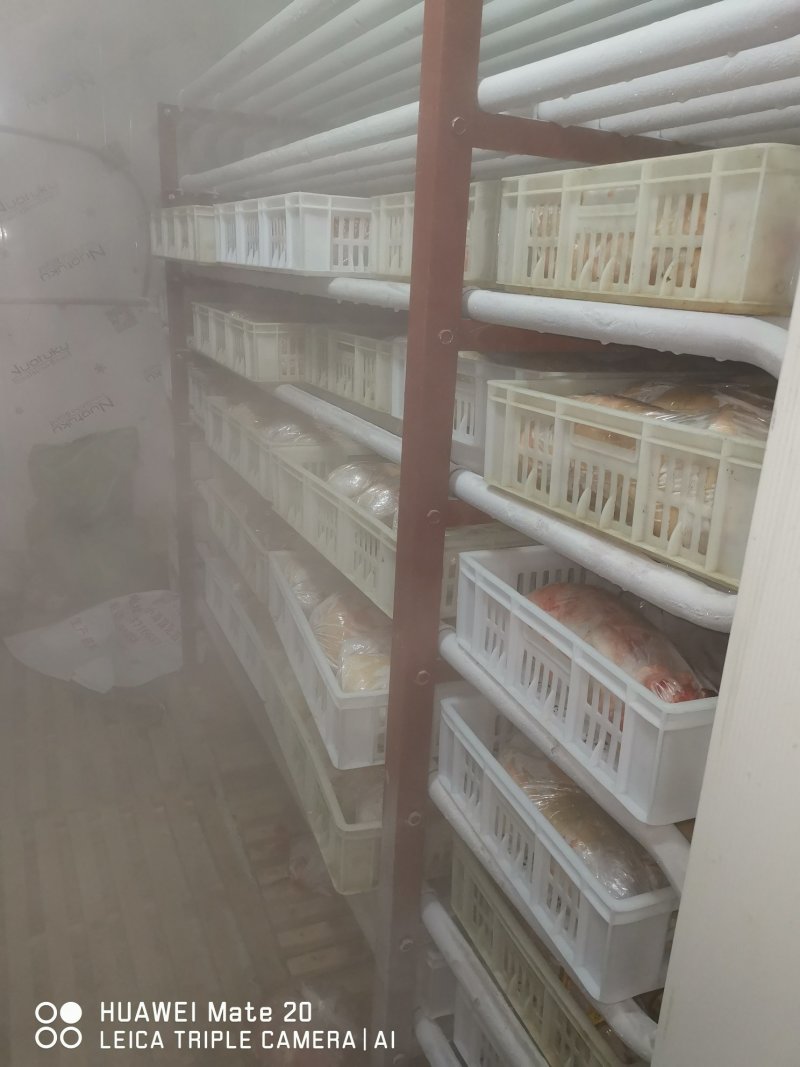 大量供应盐城大丰自产各种规格冷鲜带皮兔肉