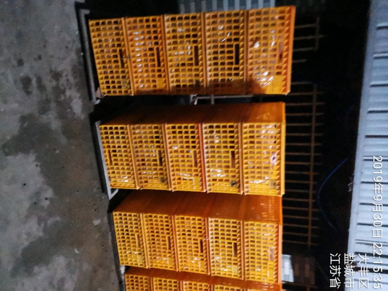 大量供应盐城大丰自产各种规格冷鲜带皮兔肉