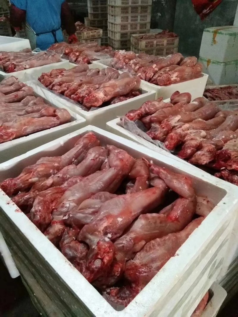 江苏盐城大丰产地供应各种自产自销冷鲜纯净膛兔肉