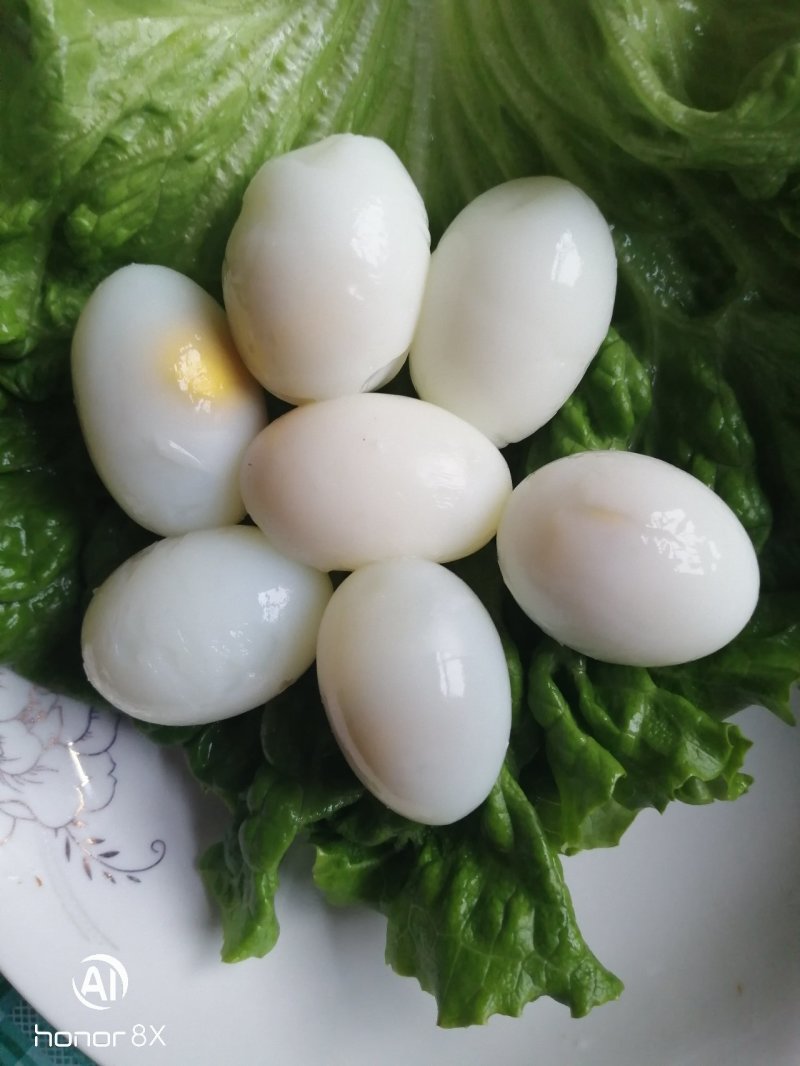 新鲜鸽蛋，纯粮喂养