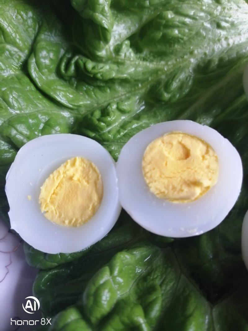 新鲜鸽蛋，纯粮喂养