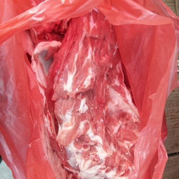 国产糕羊，鲜羊蝎子，肉多骨髓满满的