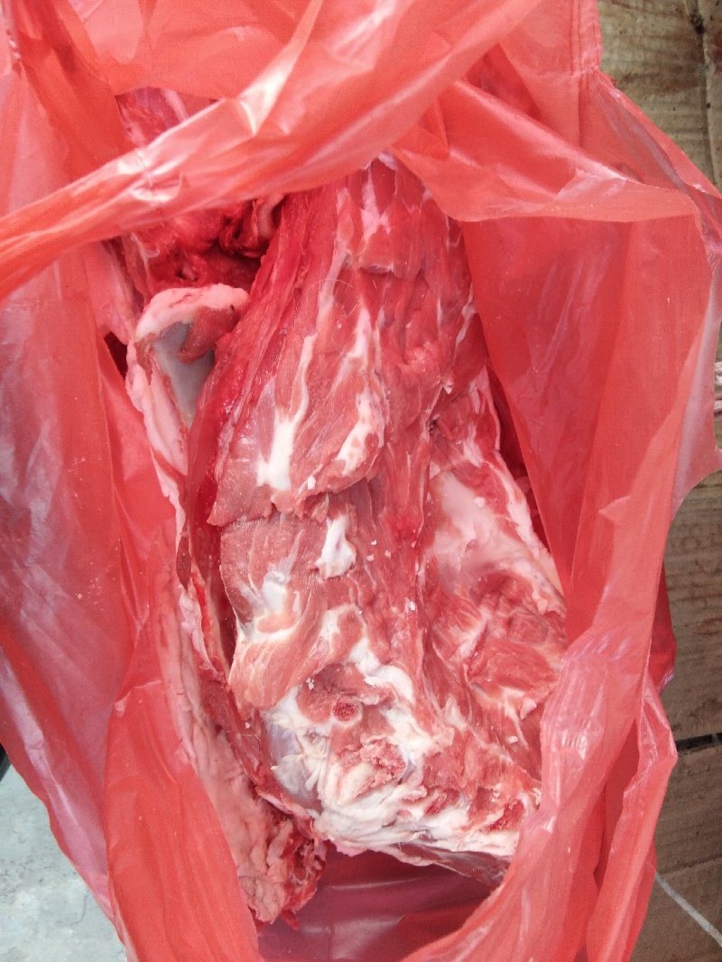 国产糕羊，鲜羊蝎子，肉多骨髓满满的