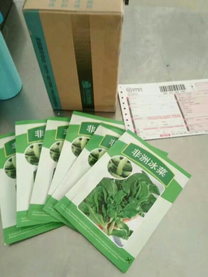 供应黄瓜苗西红柿，冰草，丝瓜