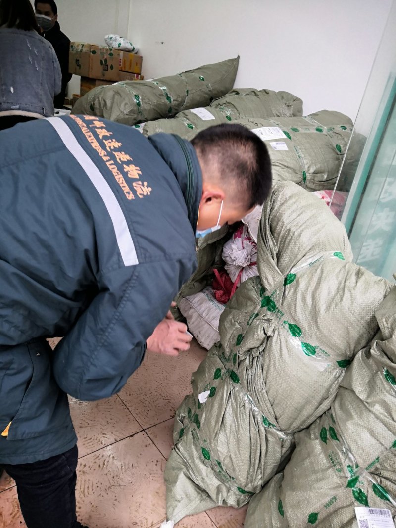 百万销量长林系列原生裸根油茶苗感谢客户们的认可