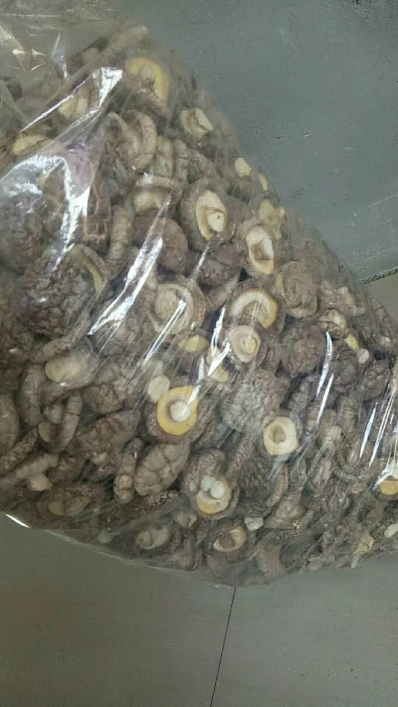 食用菌春栽干香菇，秋栽菇，春栽菇现货供应发